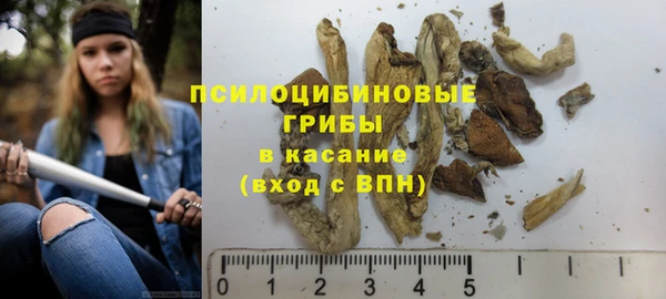 MESCALINE Вязьма