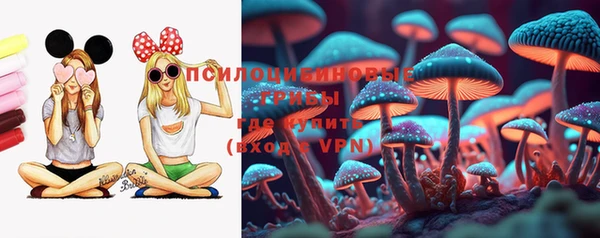 spice Вяземский