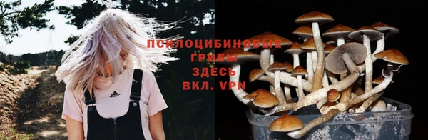 кристаллы Горно-Алтайск