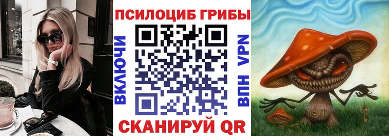 Псилоцибиновые грибы Cubensis  Купить закладки  Холмск 